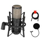 Microfone Condensador AKG Project Studio P220 com Filtro Pop