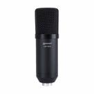 Microfone Condensador Lexsen LM-100U USB Microfone Condensador Lexsen LM-100U USB