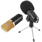 Microfone condensador usb estúdio BM100FX GT648 - Lorben