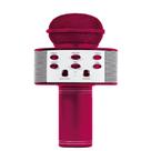 Microfone Infantil Star Voice Bluetooth Rosa - Zoop Toys