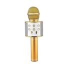 Microfone Karaokê Bluetooth Tomate MT-1036 com Alto-falante Embutido e Efeitos Sonoros