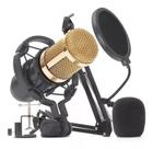 Microfone Lelong LE-914 Condensador Cardioide + Acessórios Home Studio