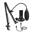 Microfone Locutor Condensador Profissional Usb Youtuber Top