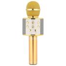 Microfone para gravação de canto com luzes LED colorido GOLD