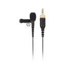 Microfone Rode RodeLink LAV Omnidirecional Lavalier Preto Microfone Rode RodeLink LAV Omnidirecional Lavalier Preto