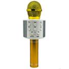 Microfone Sem Fio Bluetooth Karaoke - WS858