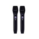 Microfone Sem Fio Duplo Dylan DW-902 Power