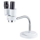 Microscópio estéreo binocular Amscope SE508 com ampliação de 8X