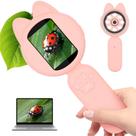 Microscópio Mafiti Mini Pocket Handheld Kids com ampliação de 10X