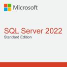 Microsoft SQL Server 2022 Standard, 32/64 Bits KW9-00664, Licença Oficial, Chave Vitalícia - Cartão Físico