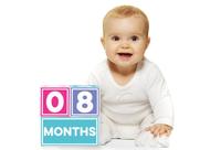 Milestone Age Blocks Sticky Bellies Brag Blocks Neutral