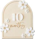 Milestone Signs OENIZI Daisy 3D Baby Monthly Wood Discs