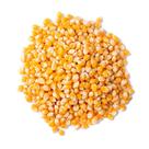 Milho de Pipoca TOP Line Cianorte 1Kg