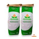 Milho Híbrido Pamonheiro 2kg -Kit 2 Un. Ideal para Milharal Produtivo