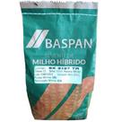 Milho Hibrido SX3197 TR Baspan Sementes 1 kg