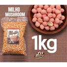Milho Mushroom 1 Kilo Nova Safra Super Grão Pipoca Gourmet Embalagem Vacuo - Ltt Alimentos