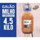 milho mushroom 4,5kg galao