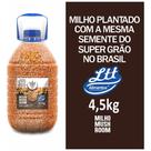 Milho Mushroom Para Pipoca Gourmet 4,5kg Super Grão