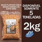 Milho para pipoca doce mushroom 2kg Milho para pipoca doce mushroom 2kg