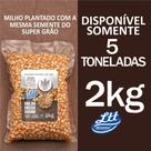 Milho para pipoca doce mushroom 2kg super grao