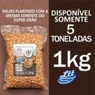 Milho Pipoca Mushroom Gourmet Ltt Alimentos 1kg Super Grão