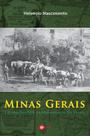 Minas Gerais e o Processo de Independência do Brasil