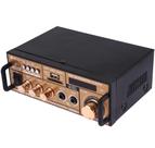 Mini Amplificador De Som Karaoke Usb Mp3 Fm Bluetooth 30w 110v