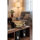 Mini Amplificador Dourado Bluetooth USB MP3 FM Karaoke