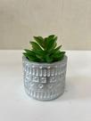 Mini Arranjos Artificial vaso Prata com suculenta 10cm Mini Arranjos Artificial vaso Prata com suculenta 10cm