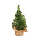 Mini Árvore De Natal De Cedro 15 20 30cm Com Base De Linho Para Decoração De Mesa E Vitrine De
