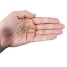 MINI ASTERÓIDE QUARTZO FUMÊ - (2 a 3)cm