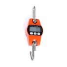 Mini balança digital agrozootec 05011272 suspença em metal com capacidade máxima de 300kg