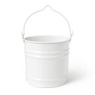 Mini Balde Galvanizado 3 Litros - Colorido para Jardim, Horta e Decoração SF300