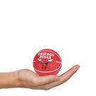 Mini Bola Basquete NBA Wilson Chicago Bulls