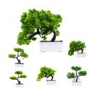 Mini Bonsai Arvore Artificial com Vaso Decorativo Enfeite Castela