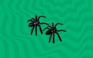 Mini brinquedo aranha pct c/10 unid