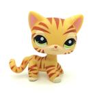Mini brinquedo para animais de estimação CFCLLBR Rare Yellow Tiger Cat e boneco de gatinho