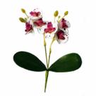 Mini buque de orquidea com folhas 20cm altura - branca com roxa