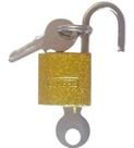 Mini Cadeado Segurança 20 mm