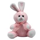Mini Coelho De Pelúcia 21cm Antialérgico, CKS Toys, Coelhinho Da Páscoa Decoração De Cesta