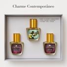 Mini Collection Feminino - Charme Contemporâneo Mini Collection Feminino - Charme Contemporâneo
