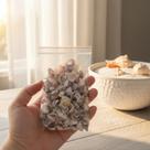 Mini Conchas Naturais Sortidas Para Artesanato E Decor Mix Story 100g