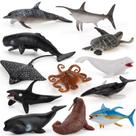 Mini conjunto de estatuetas de animais oceânicos, 12 peças realistas de PVC marinho