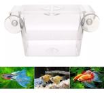 Mini Criadeira Flutuante De Acrílico Skrw Cr-07 12x7x7cm