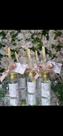 Mini difusor 30ml
