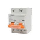 Mini Disjuntor C Bipolar 100A Metaltex