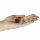 MINI DODECAEDRO QUARTZO FUMÊ - (1 a 2,5)cm
