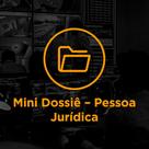 Mini Dossiê Pessoa Jurídica