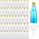 Mini garrafas de licor Tessco para você 25 ml de plástico 100 unidades