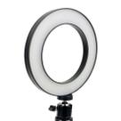 Mini Iluminador Ring Ligth Portátil 8 Polegadas 56 Leds